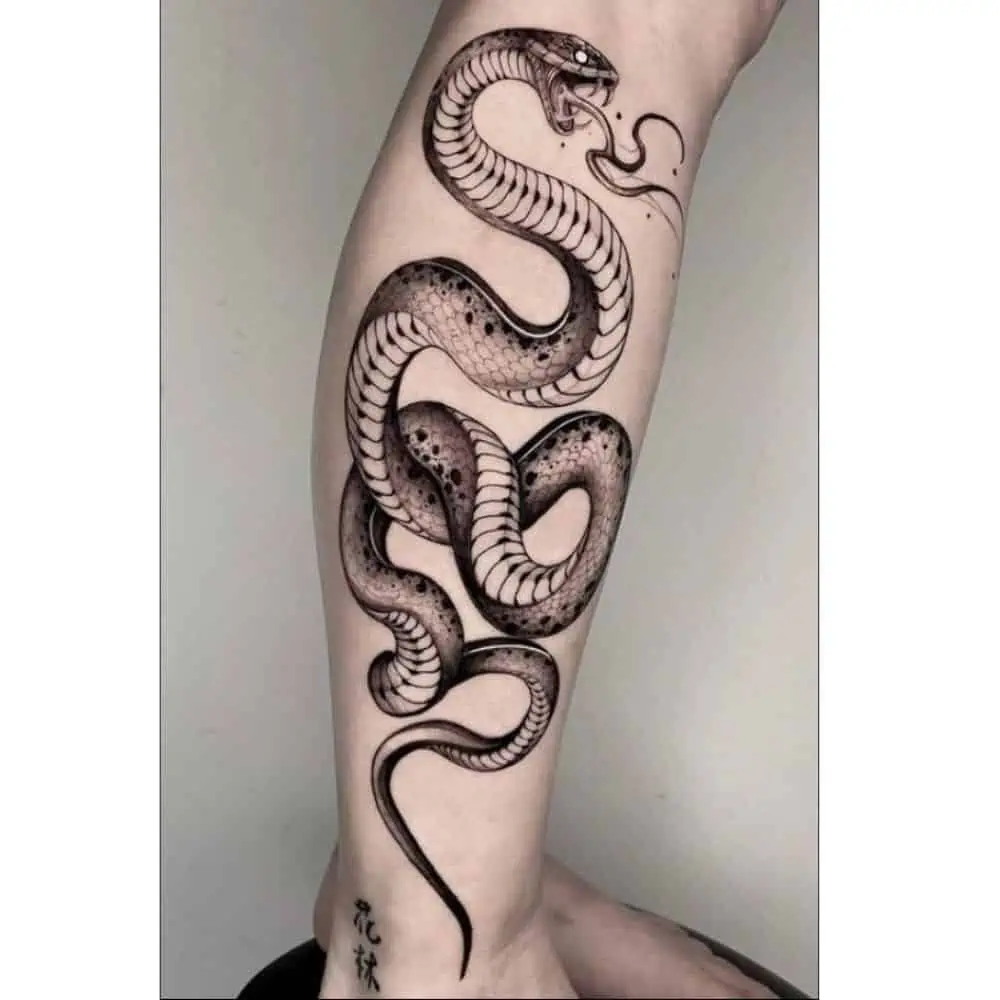 Tattoo Ideas for men —snake designs