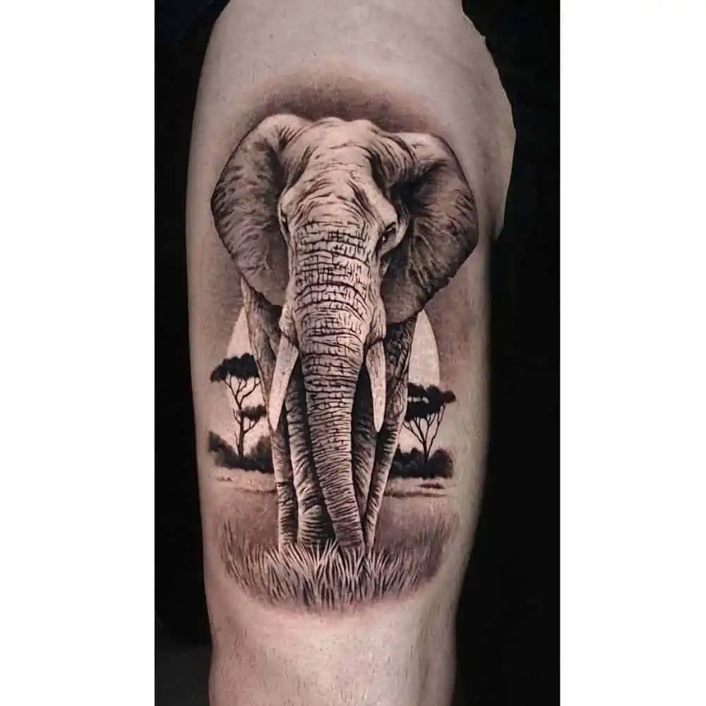 Tattoo Ideas for men —elephant designs